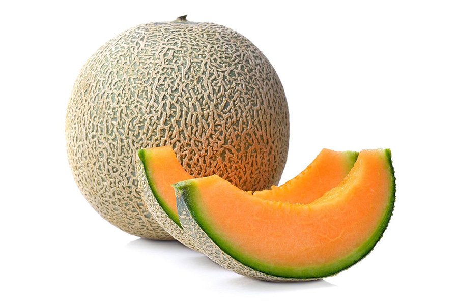 Cantaloupe