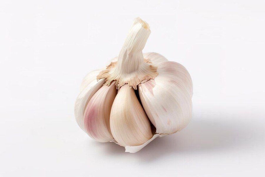 Garlic