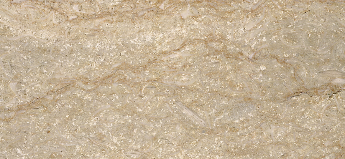 Selivia Menia Green Marble