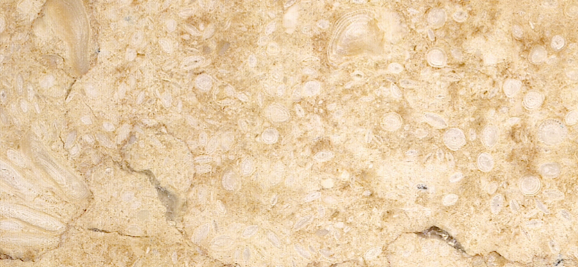 Sunny Dark (Yellow) Marble