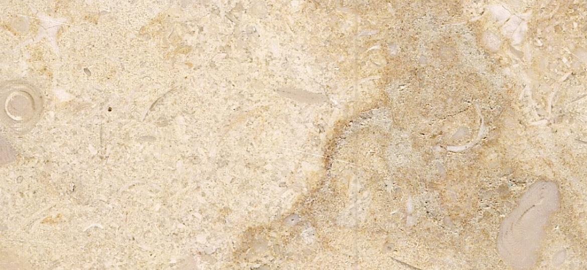 Sunny Menia Marble